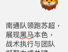 开云体育APP下载-球队整体战绩大好，保持连胜势头