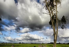 开云体育官网-美网绝杀澳网，德约科维奇高光表现